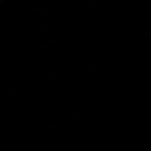 Meet your Posher, Dayana